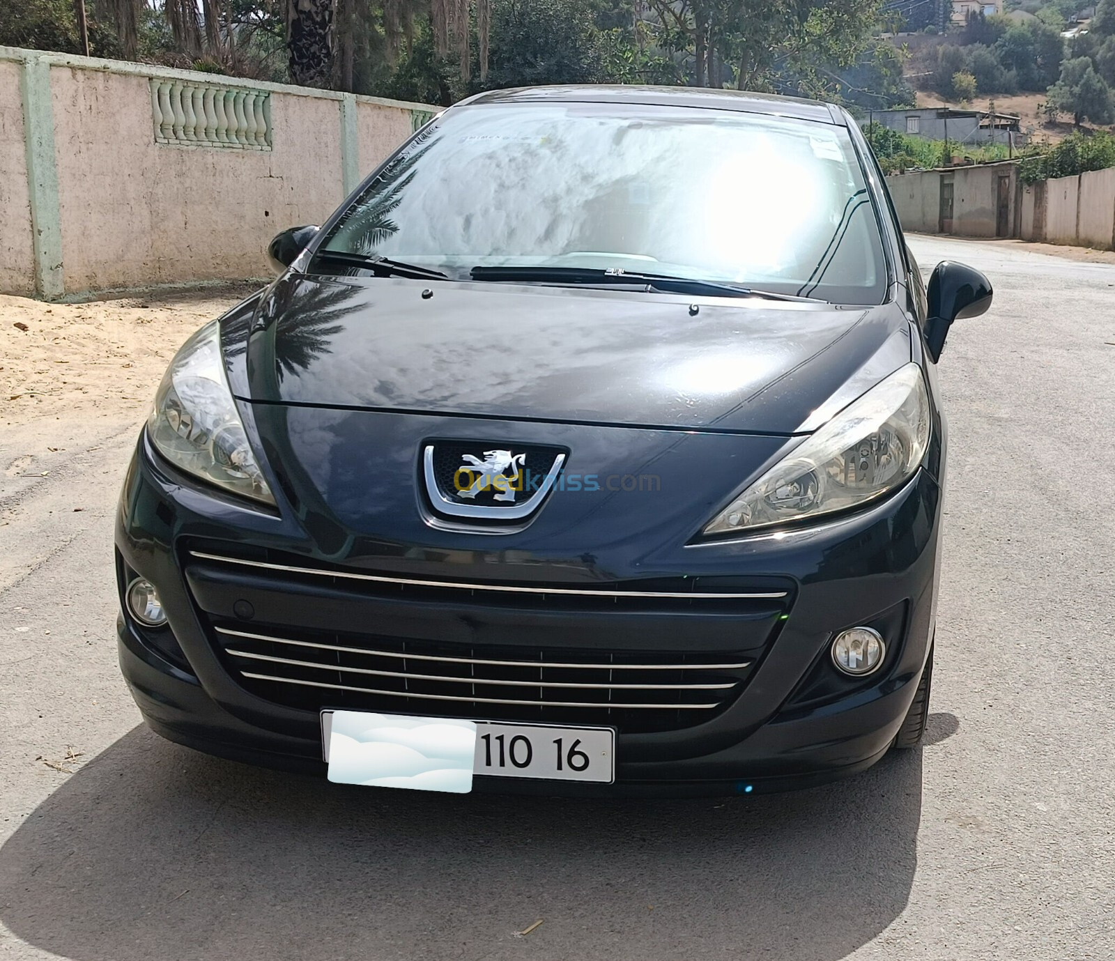 Peugeot 207 2010 