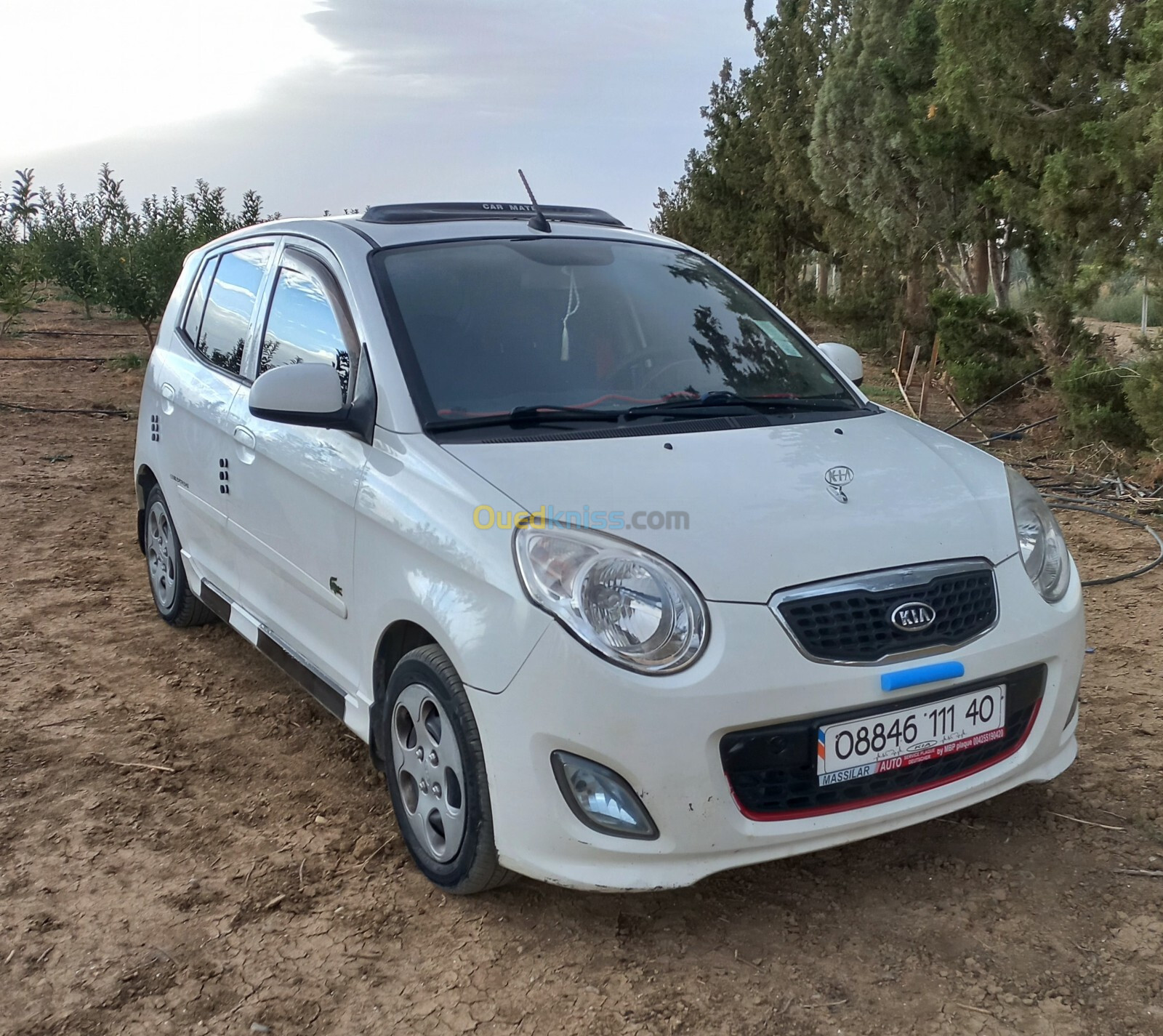 Kia Picanto 2011 Funny