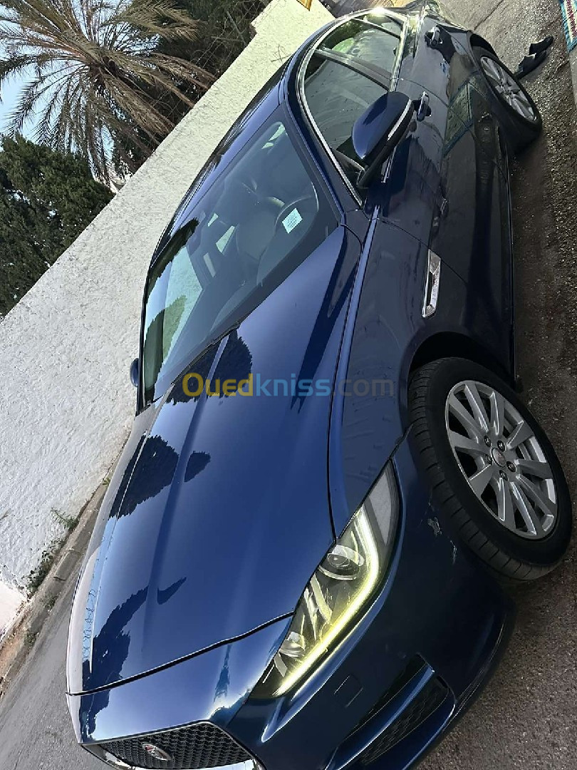 Jaguar Xe 2016 Xe