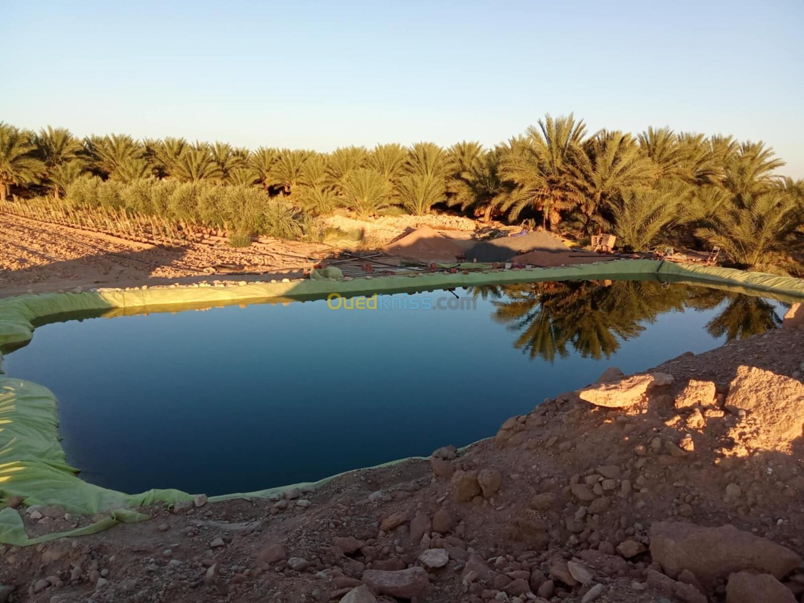 Vente Terrain Agricole Biskra El ghrous