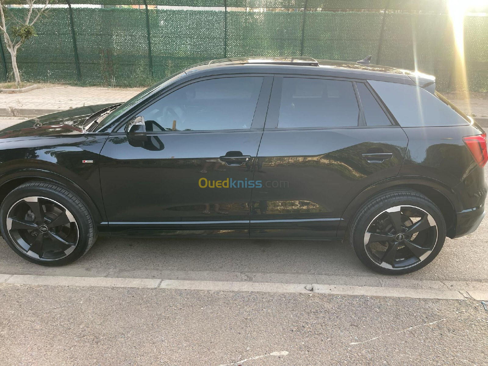 Audi Q2 2019 Slaine