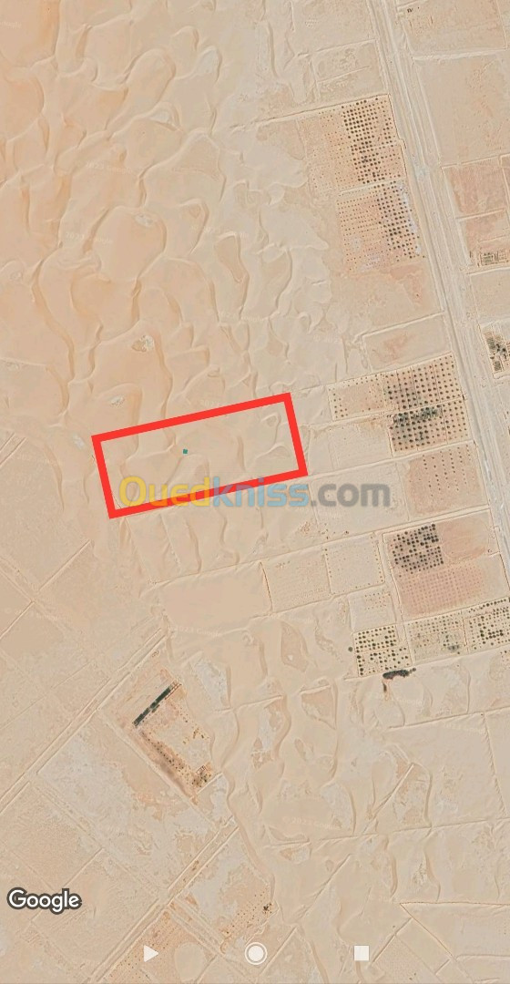 Vente Terrain Ouargla Sidi khouiled