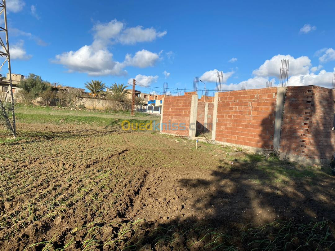 Vente Carcasse Boumerdès El kharrouba