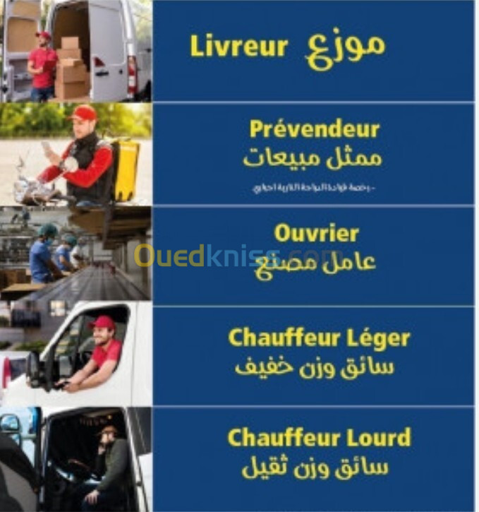 chauffeur léger et lourd et bus