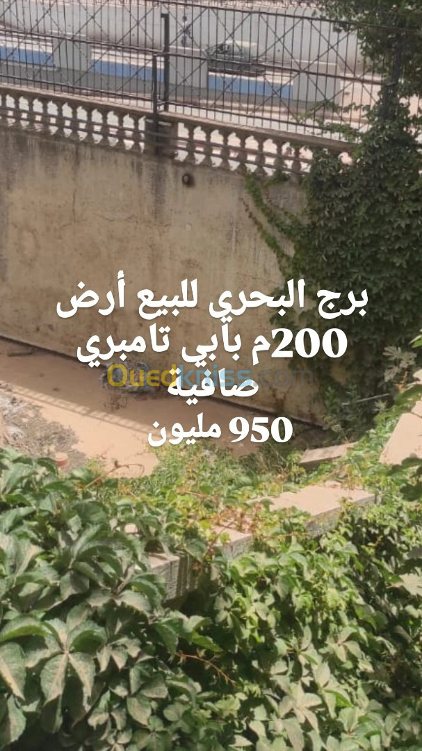 Vente Terrain Alger Bordj el bahri