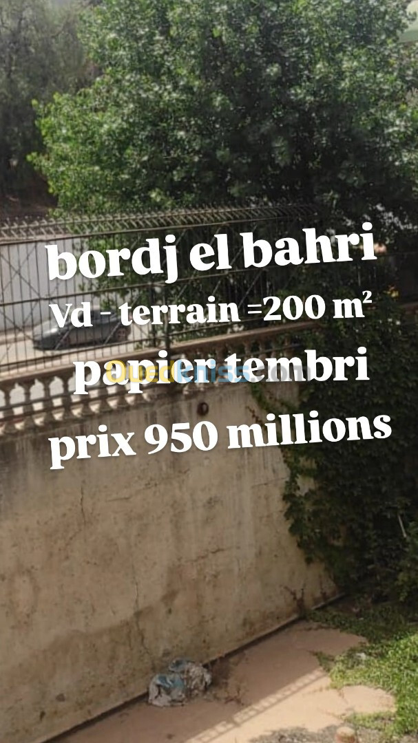 Vente Terrain Alger Bordj el bahri