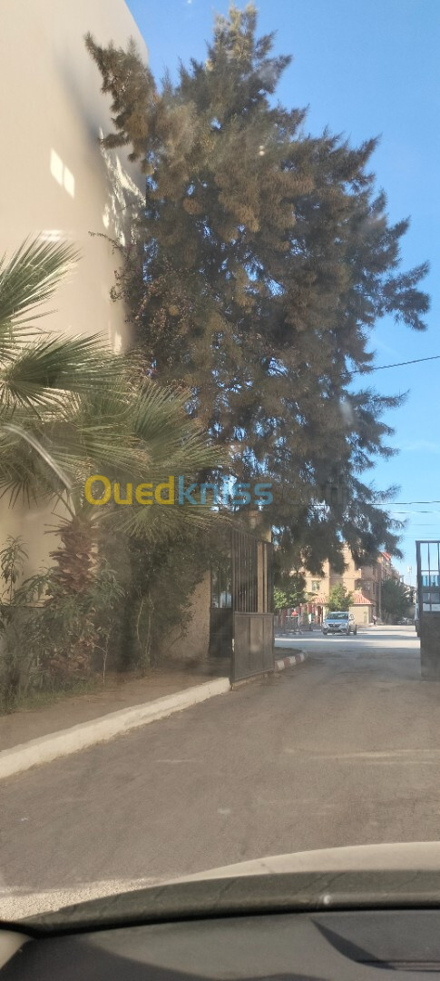 Location Niveau De Villa F3 Alger Ain taya