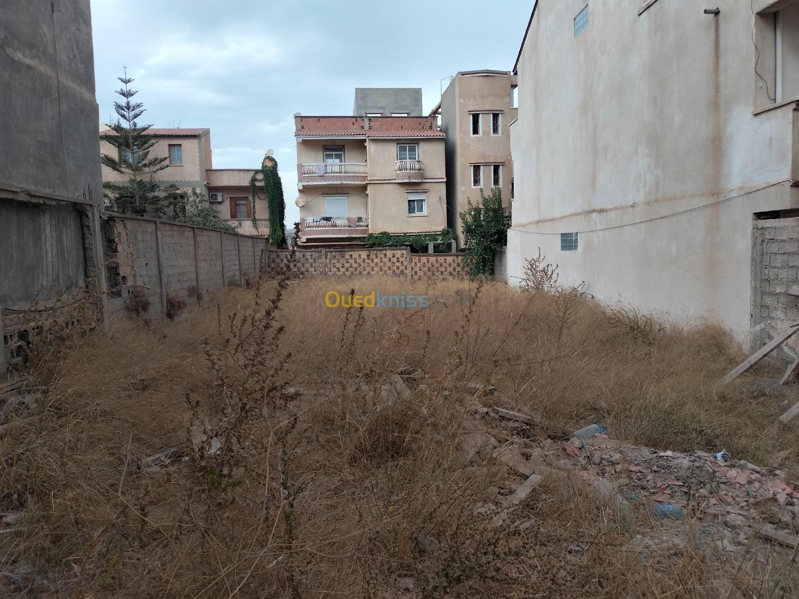 Vente Terrain Alger Bordj el kiffan