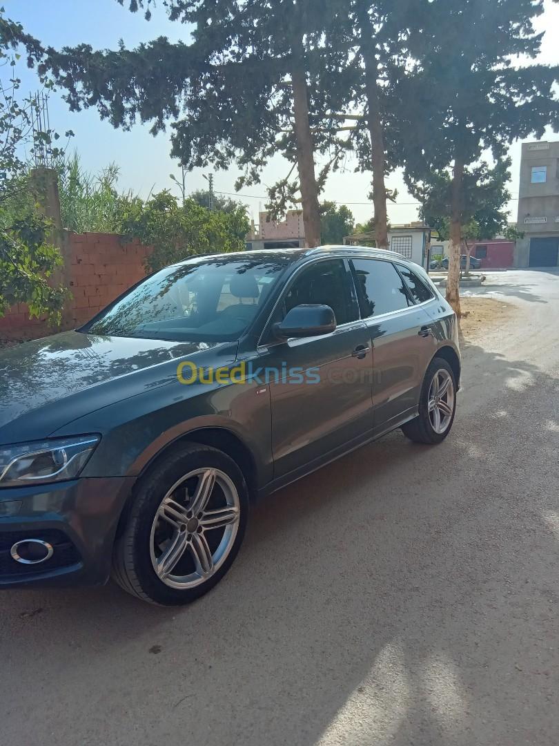 Audi Q5 2013 Q5