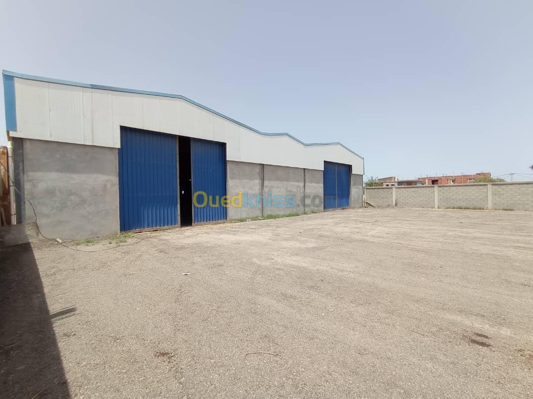 Location Hangar Alger Reghaia