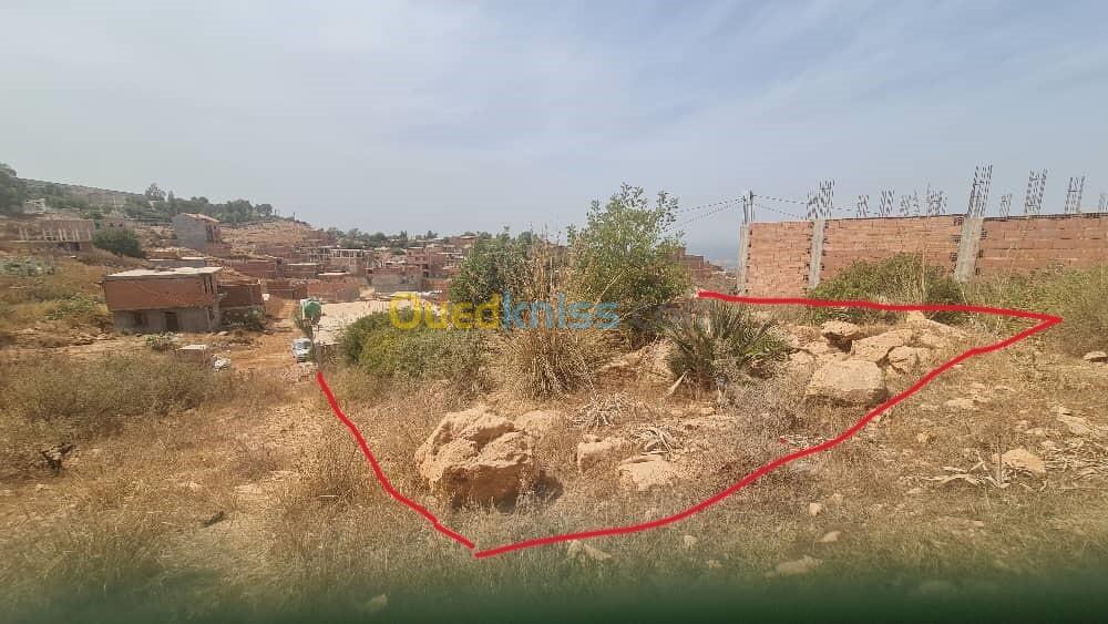 Vente Terrain Blida Meftah