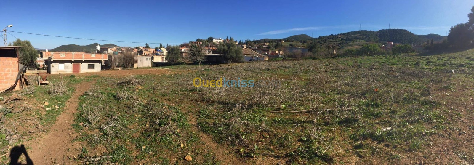 Vente Terrain Blida El affroun