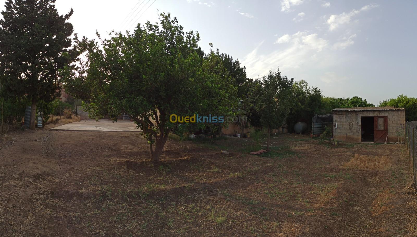 Vente Villa Bejaia Ouzellaguen