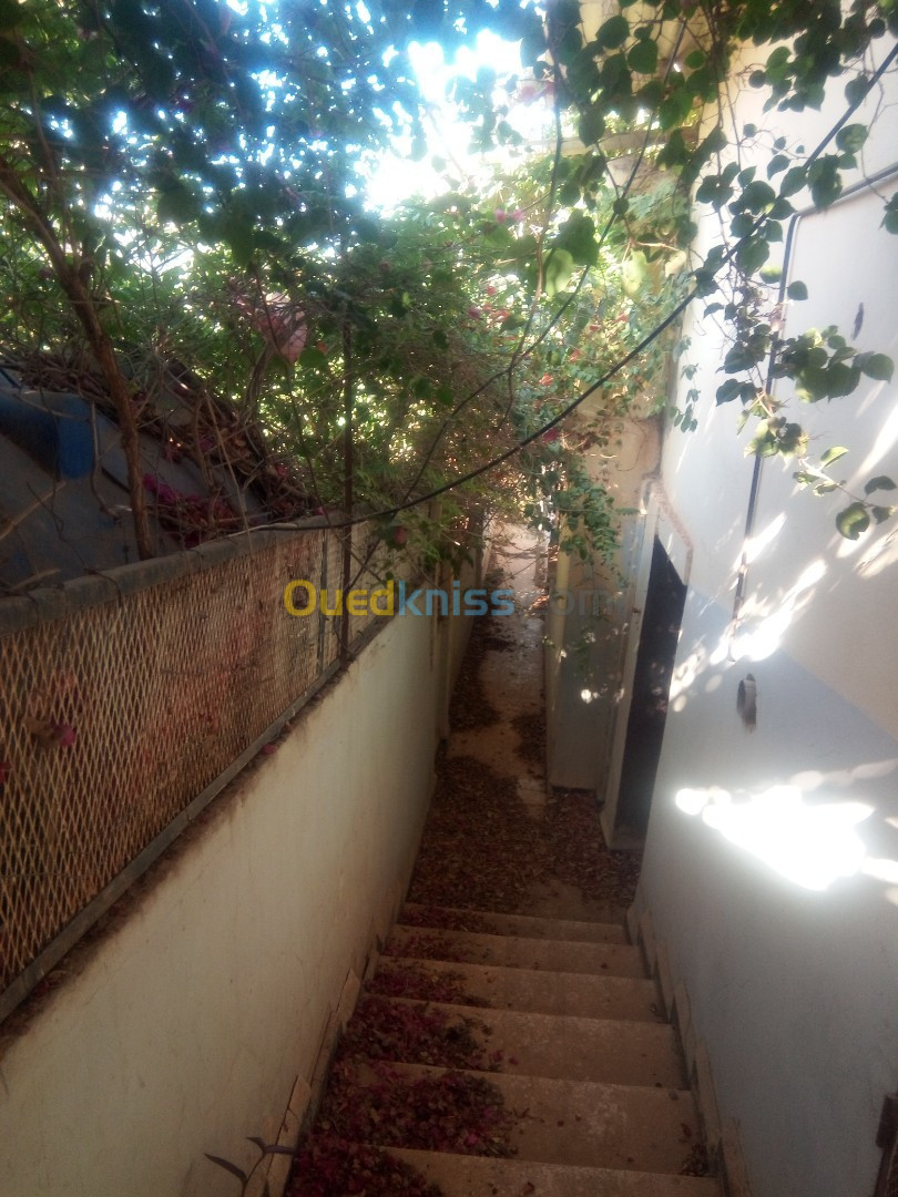 Vente Villa Chlef Chlef