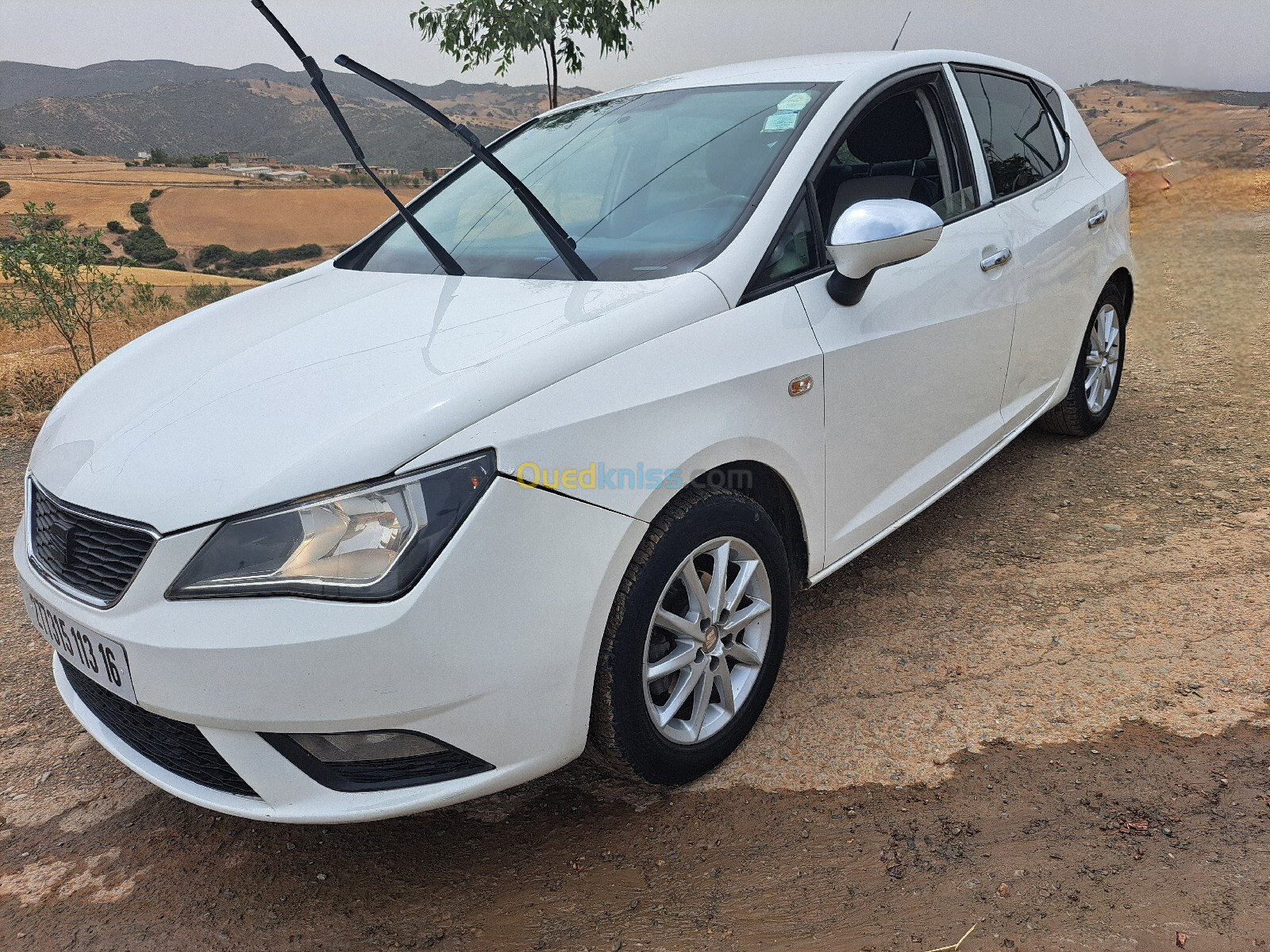 Seat Ibiza 2013 Fully