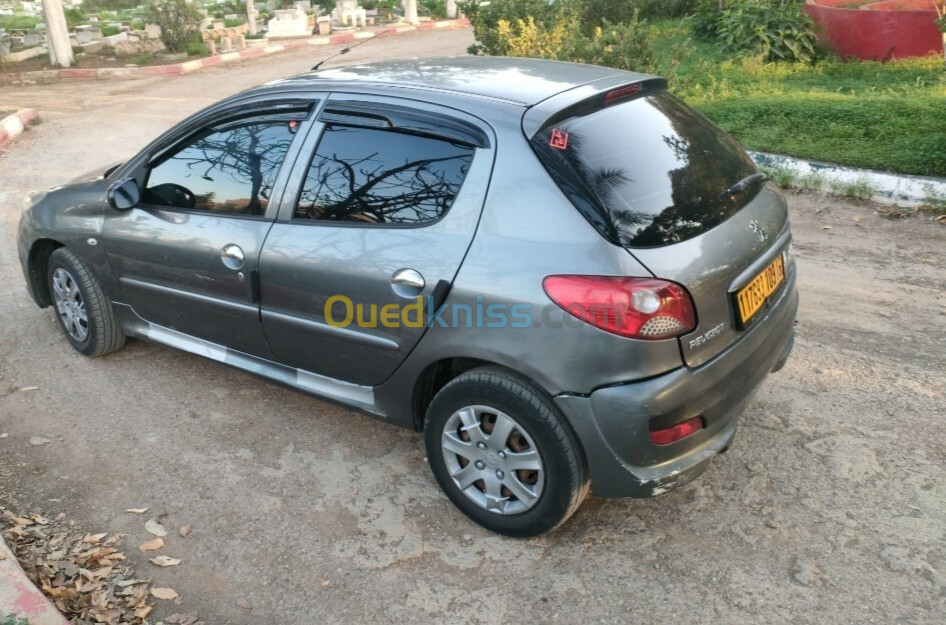 Peugeot 206 Plus 2009 206 Plus