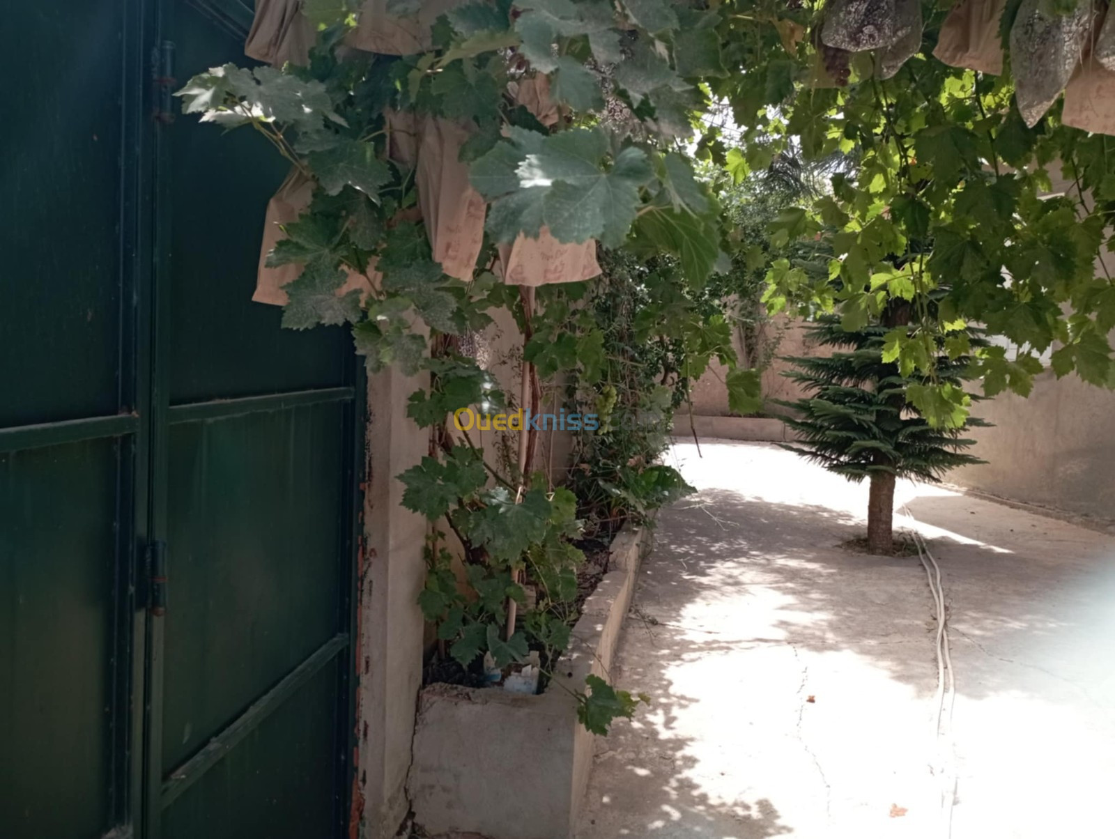 Vente Villa Boumerdès El kharrouba