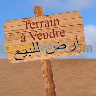 Vente Carcasse Chlef Oued sly