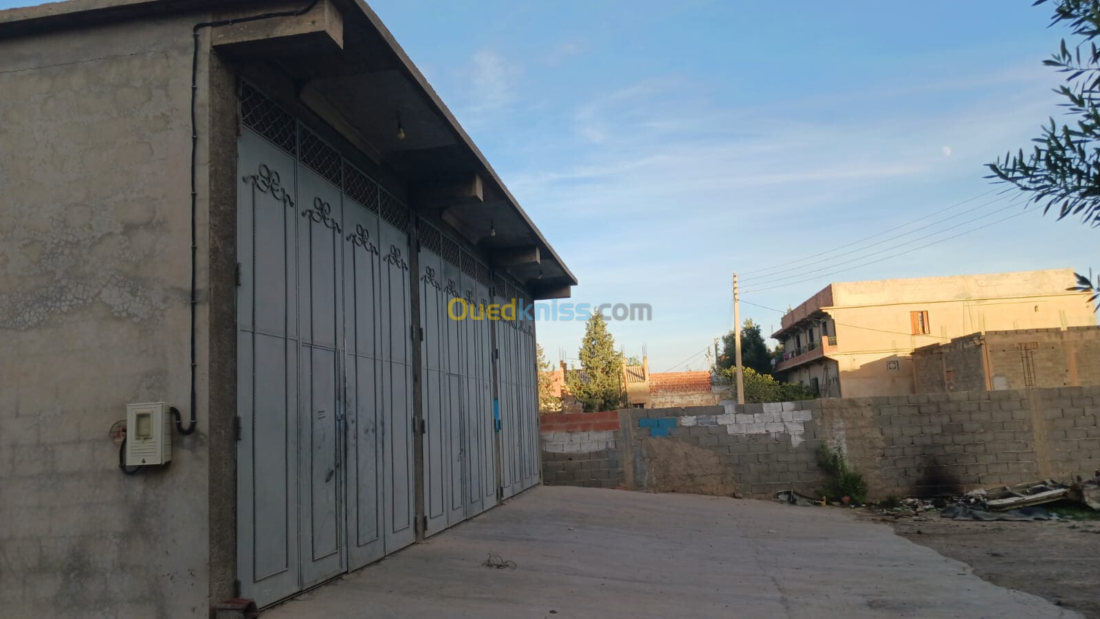 Location Hangar Sétif Ksar el abtal