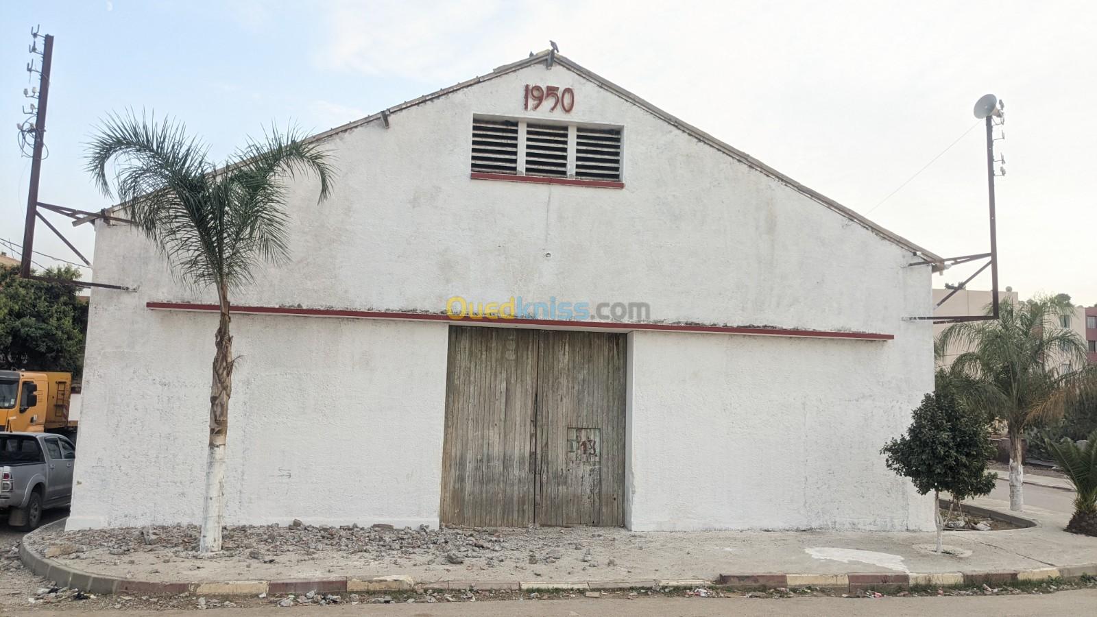 Location Hangar Boumerdes Hammedi