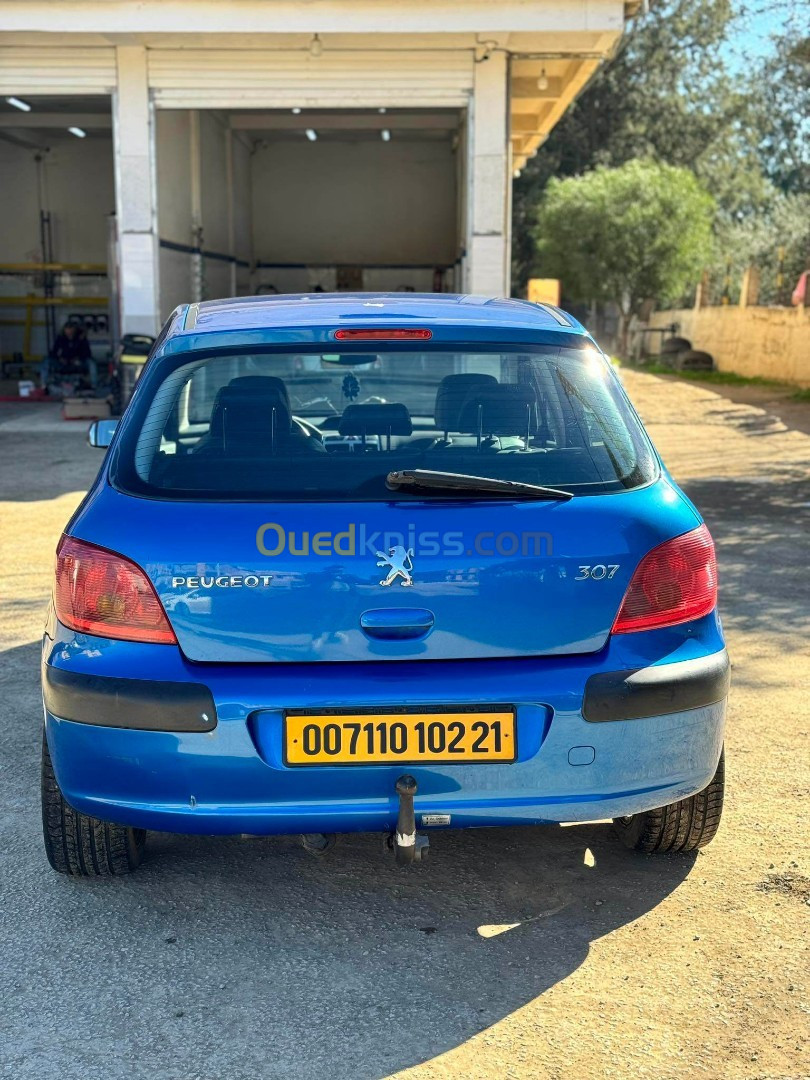 Peugeot 307 2002 307