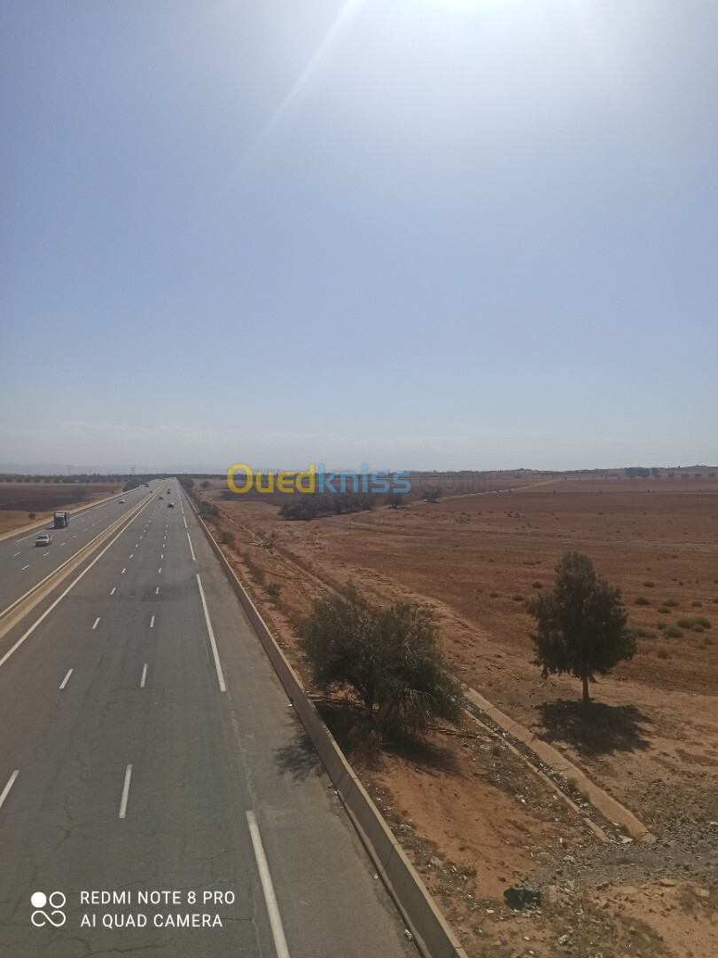 Vente Terrain Agricole Sidi Bel Abbès Sidi ali boussidi