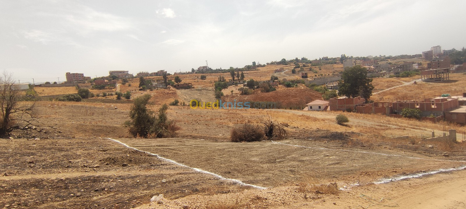 Vente Terrain Boumerdès Larbatache