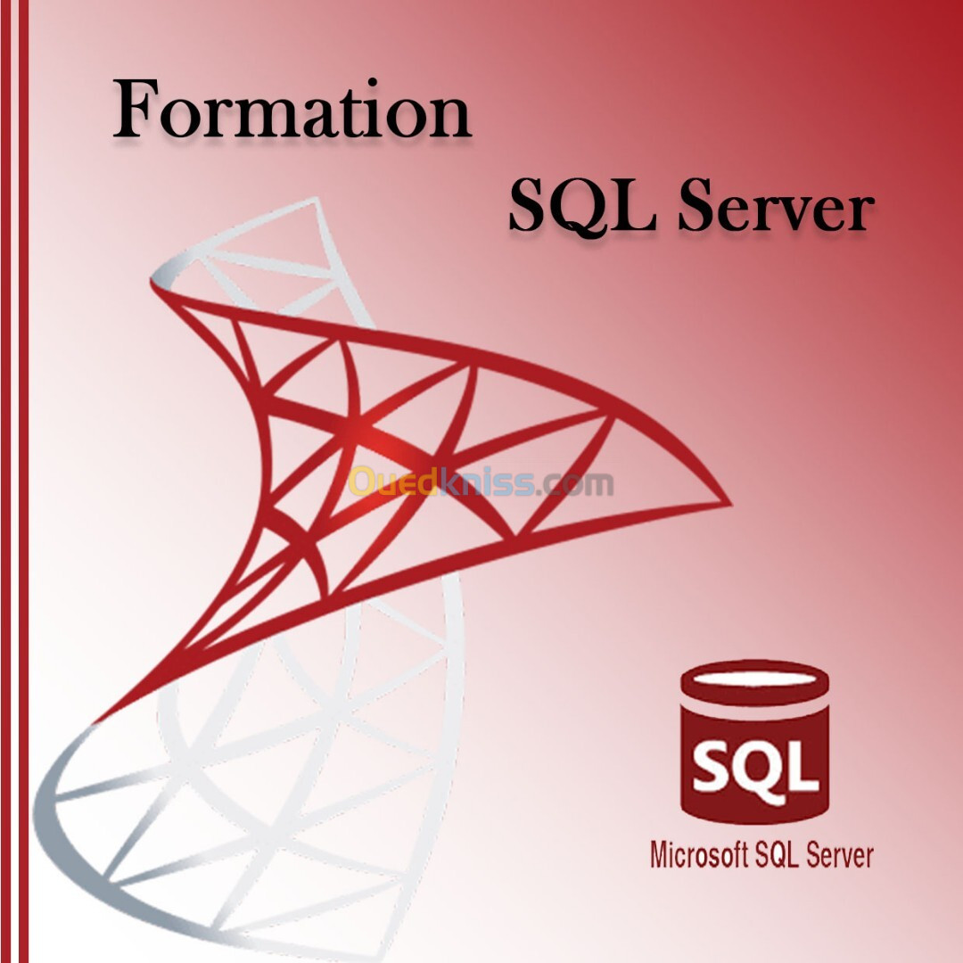 Formation SQL Server 