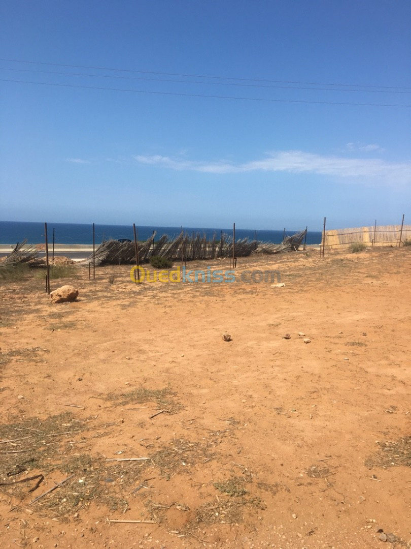 Vente Terrain Mostaganem Abdelmalek ramdane