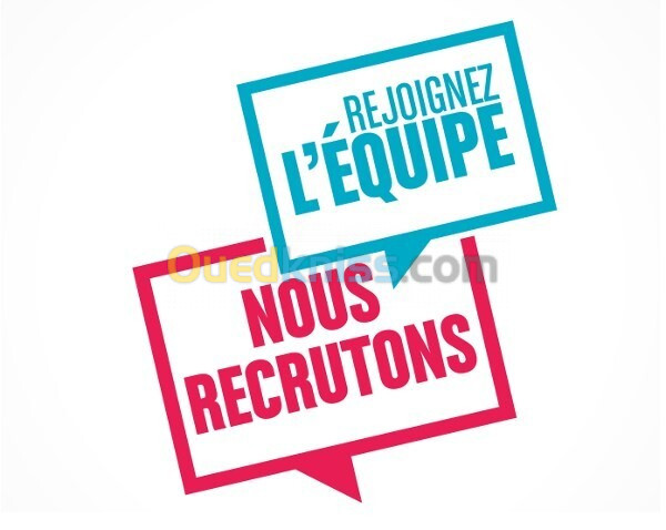 Ingénieur Chef de mission