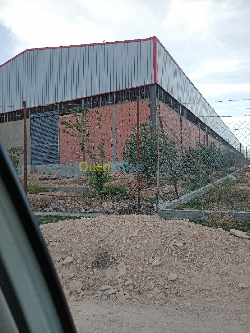 Location Hangar Sétif Guidjel