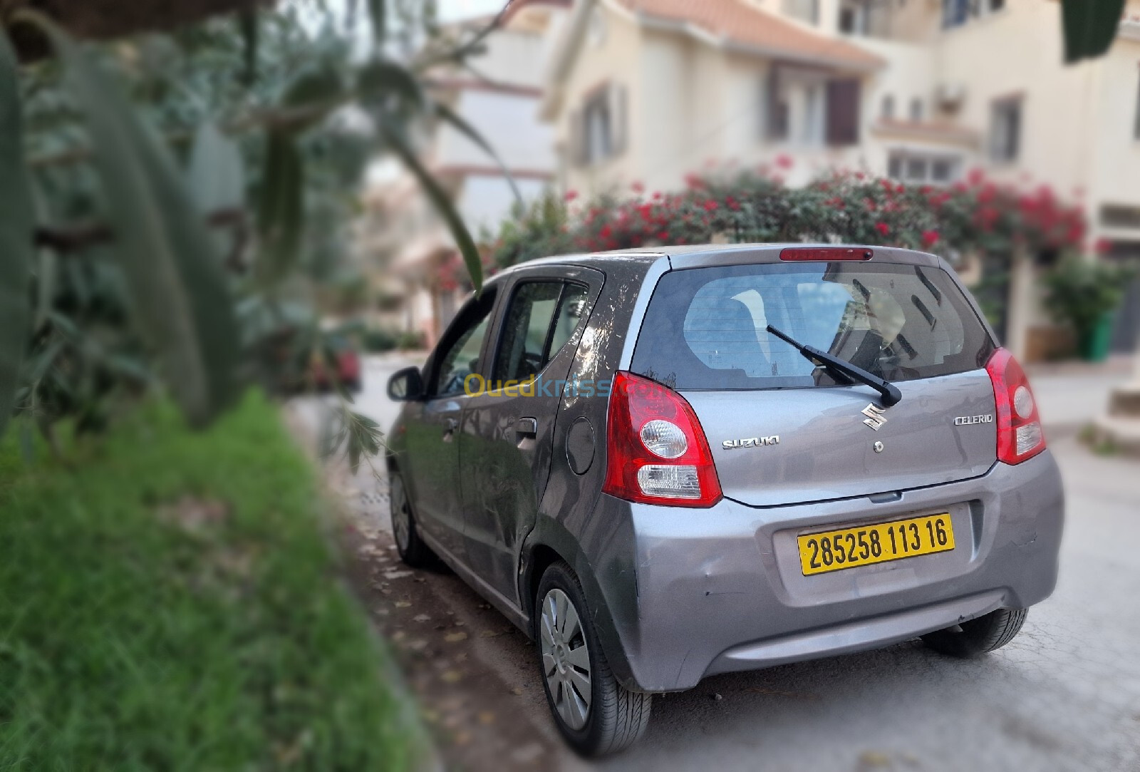 Suzuki Celerio 2013 