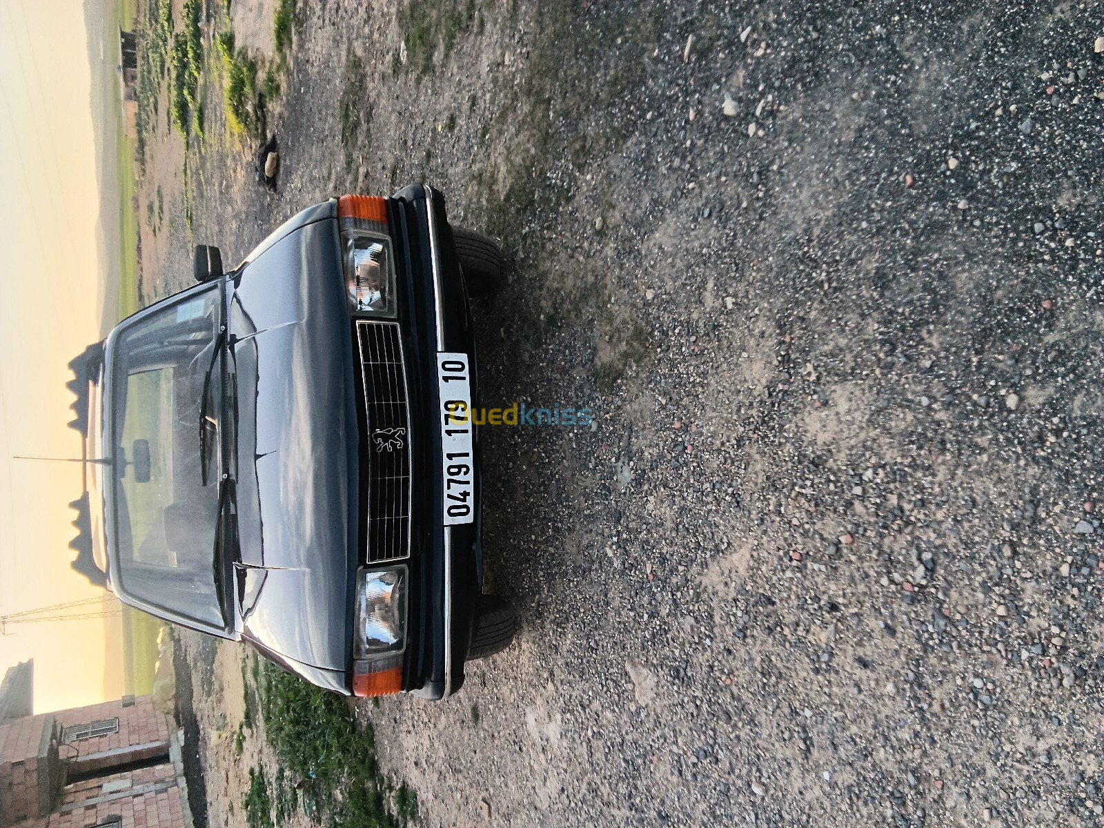 Peugeot 305 1979 305