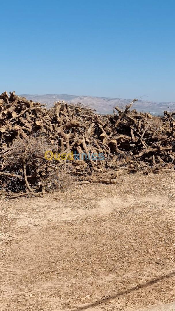 Vente de bois 