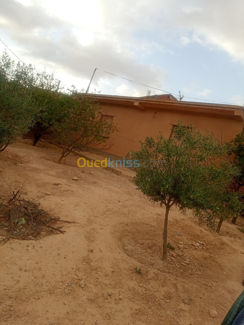 Vente Appartement F4 Batna Guigba