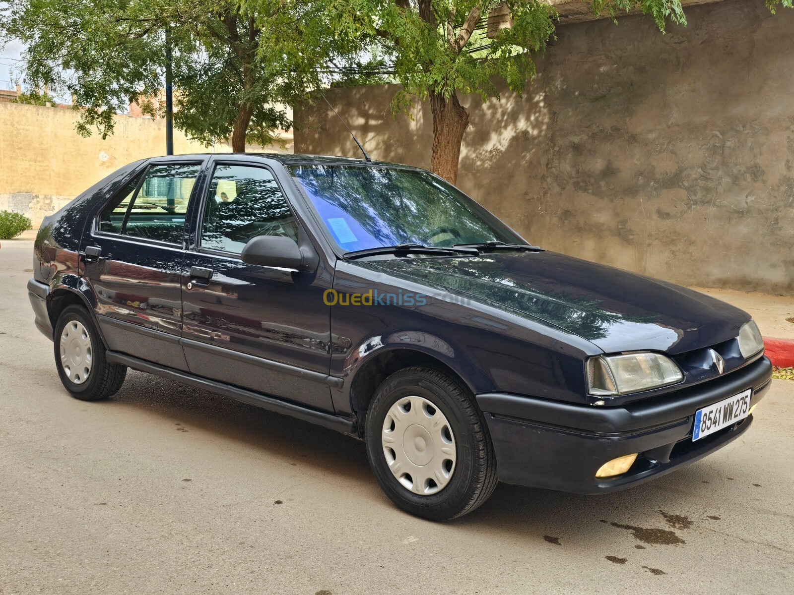 Renault 19 1995 19