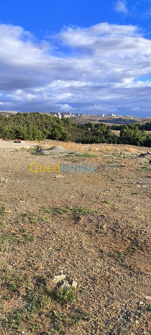 Vente Terrain Sétif Setif