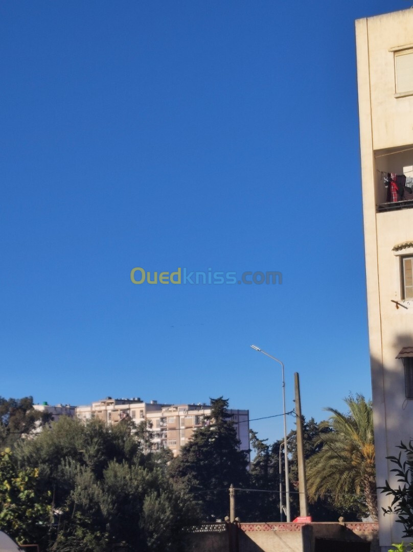 Vente Appartement F3 Alger Chevalley