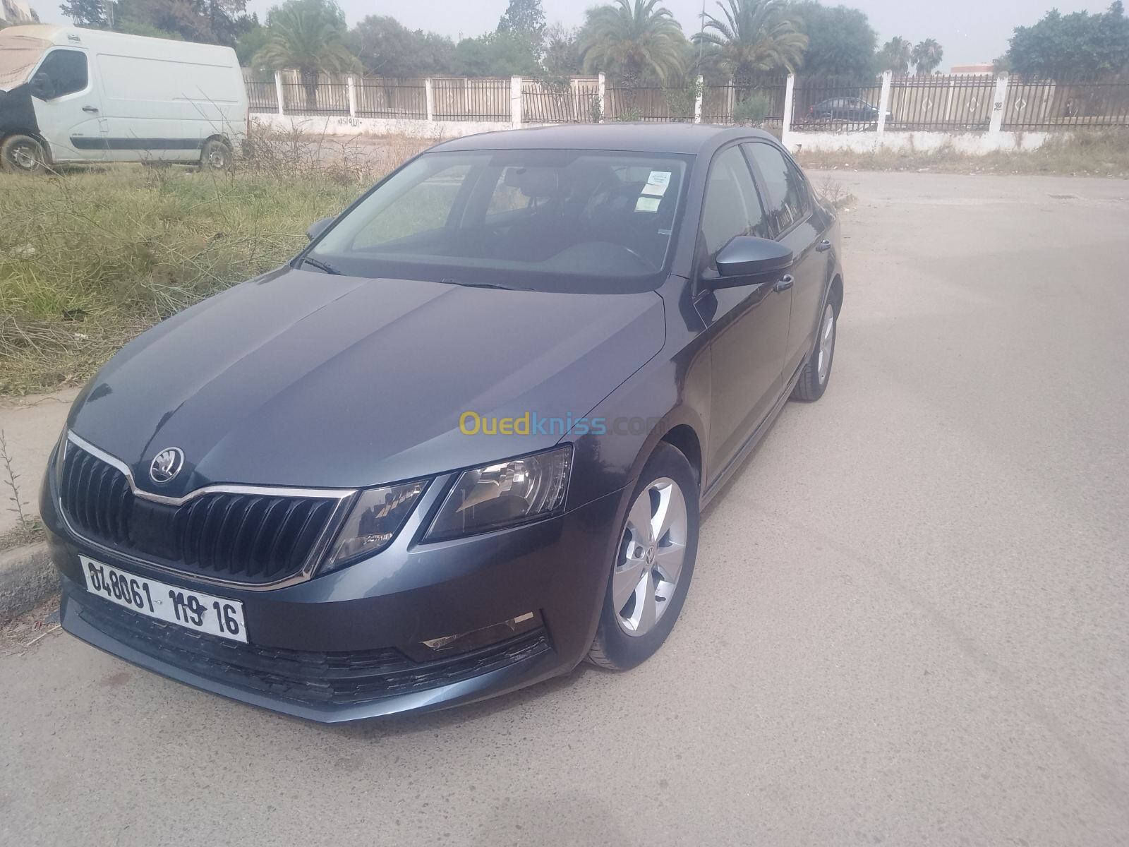 Skoda Octavia 2019 Business