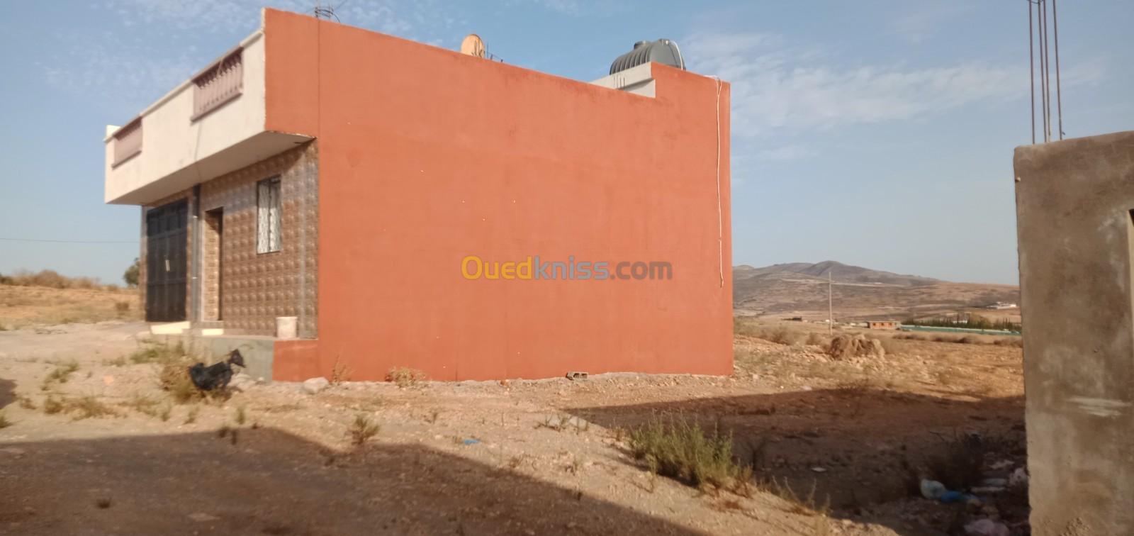 Vente bien immobilier Tlemcen Marsa ben mhidi