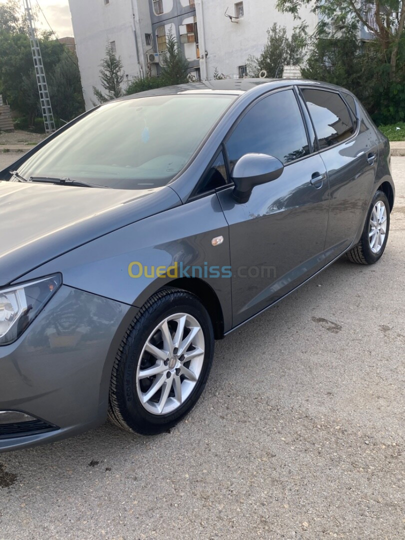 Seat Ibiza 2013 Fully