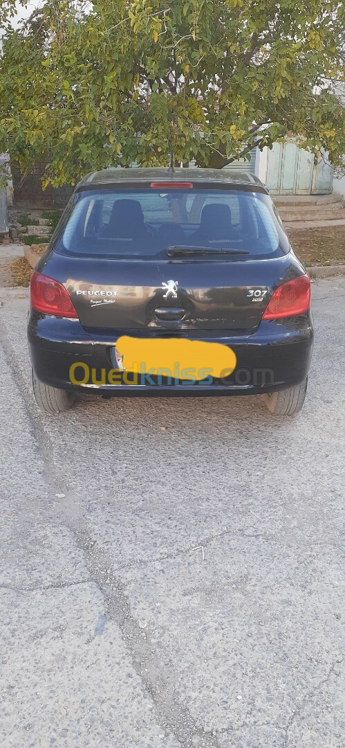 Peugeot 307 2006 307