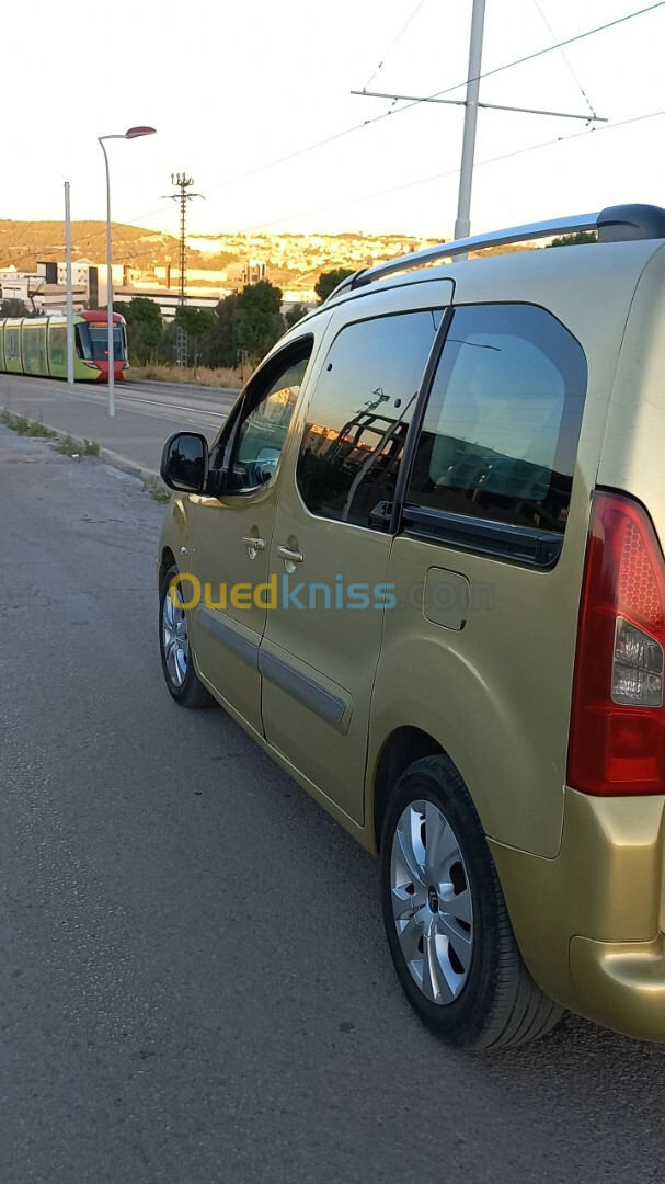 Citroen Berlingo 2009 Berlingo