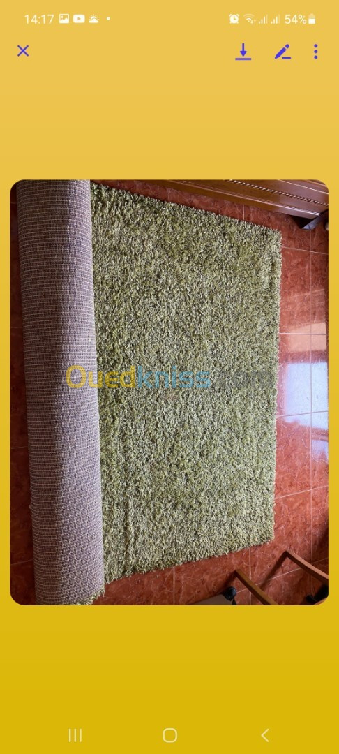 Tapis pour salon  couleur beige et autre verte