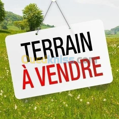 Vente Terrain Alger Ben aknoun