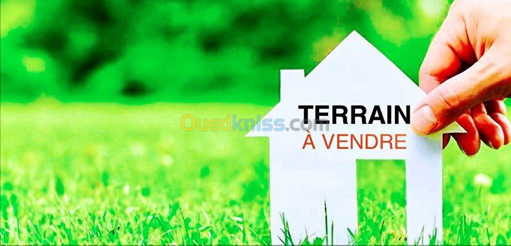 Vente Terrain Tizi Ouzou Ain zaouia