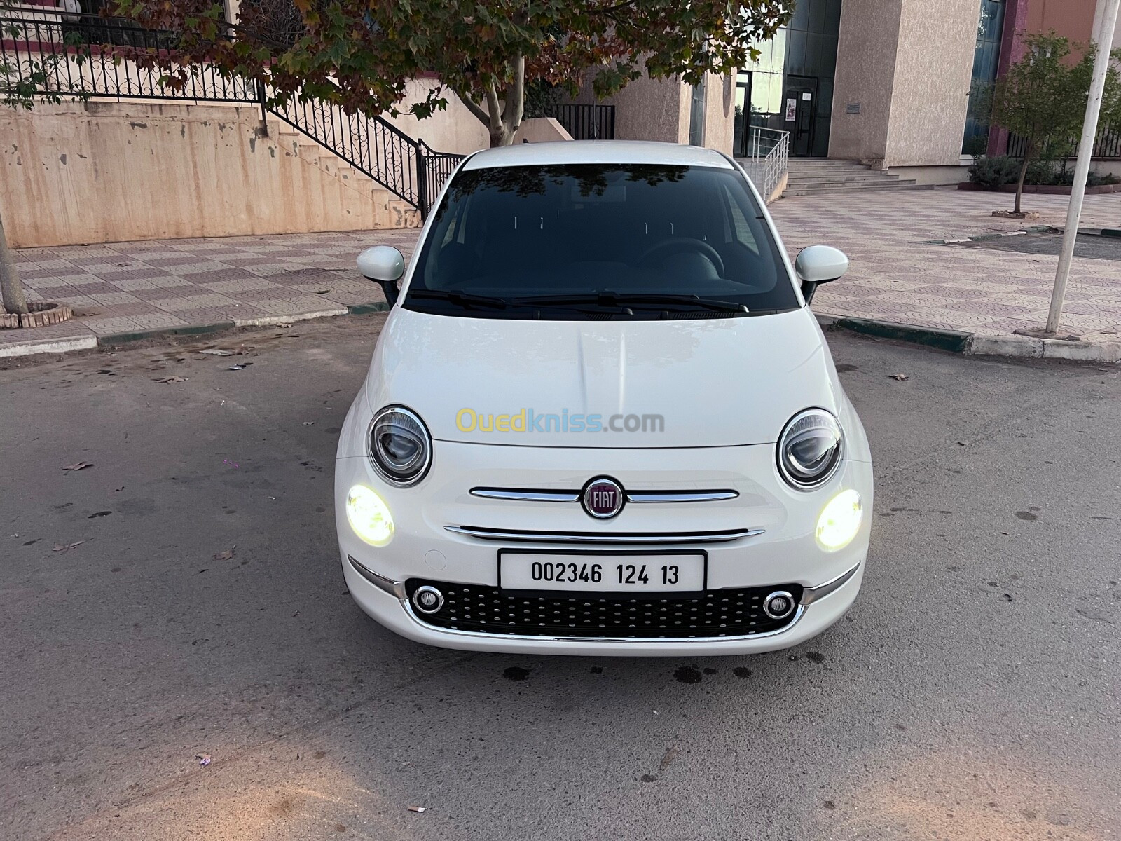 Fiat Professional 500 2024 Dolce vita