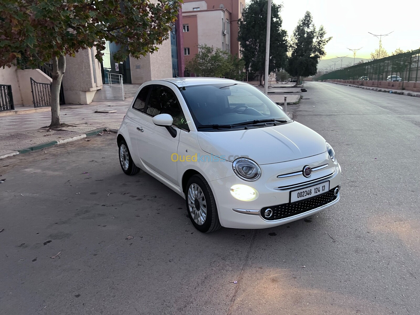 Fiat Professional 500 2024 Dolce vita