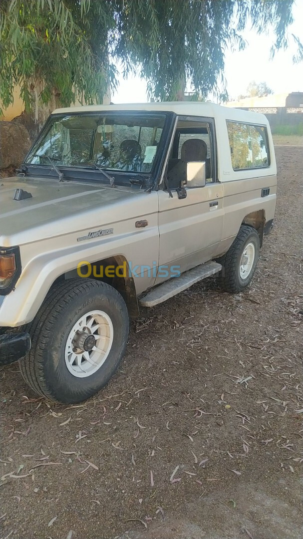 Toyota Land Cruiser 1990 Court