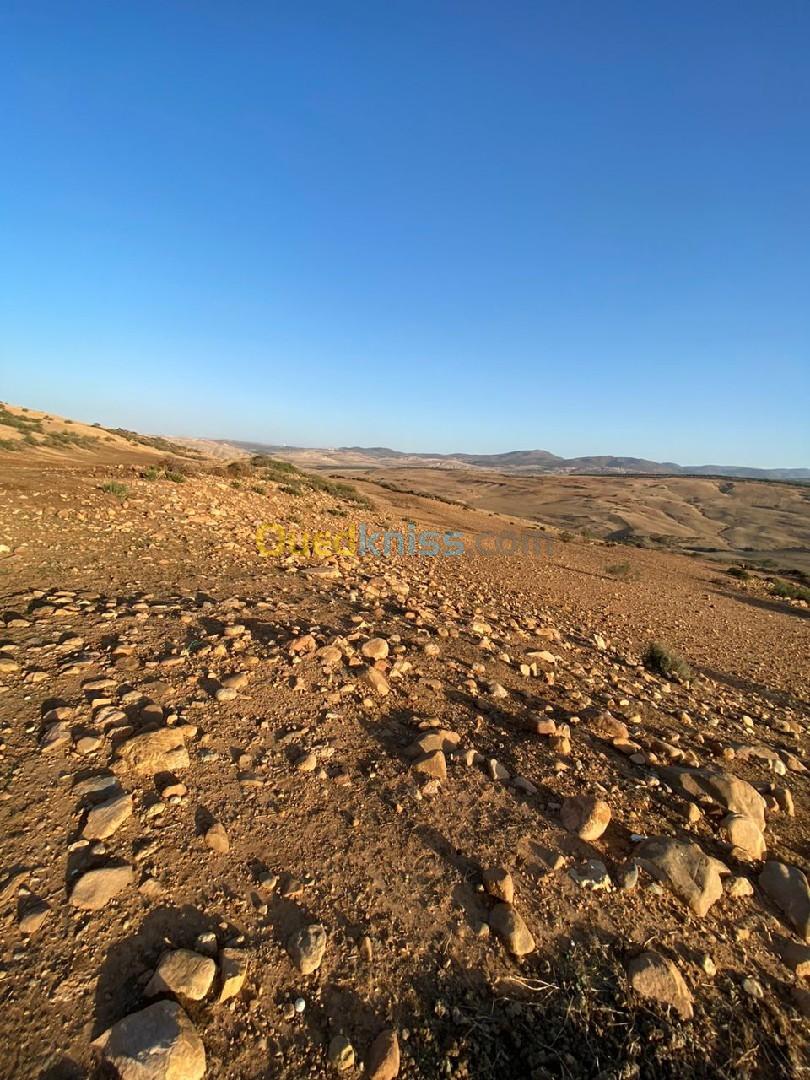 Vente Terrain Tlemcen Sidi abdelli